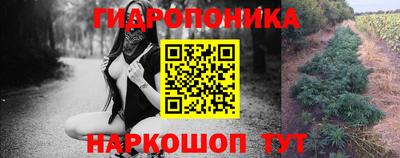 стафф Бугуруслан