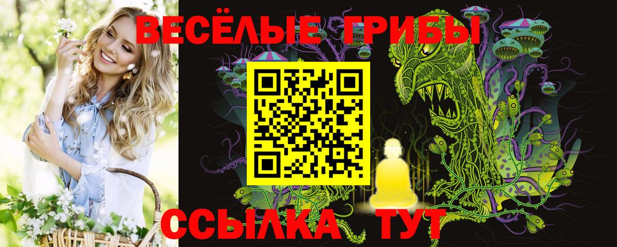 Псилоцибиновые грибы MAGIC MUSHROOMS  Галлюциногенные грибы Psilocybe  Вход с VPN  Сорочинск 